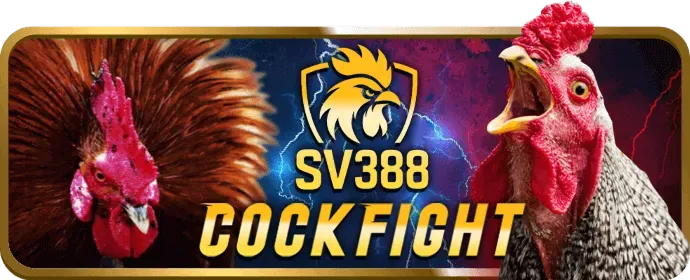 Rút Tiền Ví Điện Tử s88vip